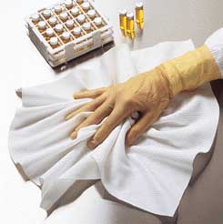 Wiper, AlphaSorb HC,Polyester,Texwipe